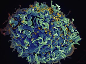Contagious Viral Forces in a Connected World