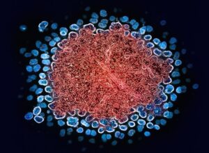 The Contagion Effect